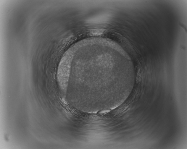 X0000103471441200810241002