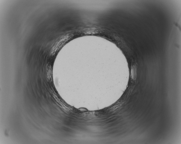 X0000103471444200810241002