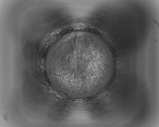 X0000103471445200810241002