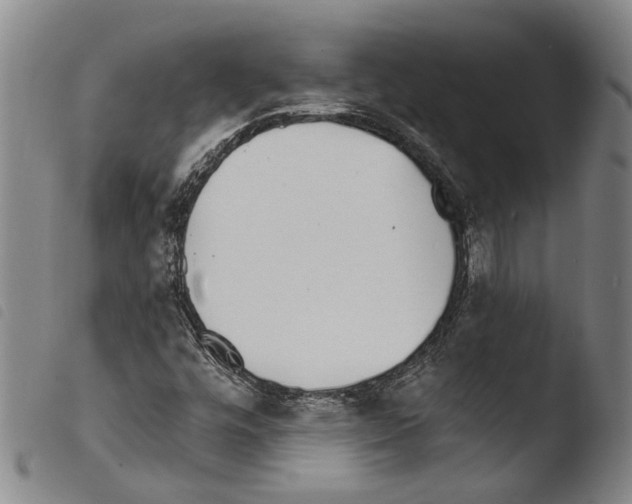 X0000103471448200810241002