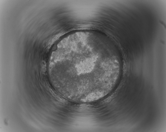 X0000103471449200810241002
