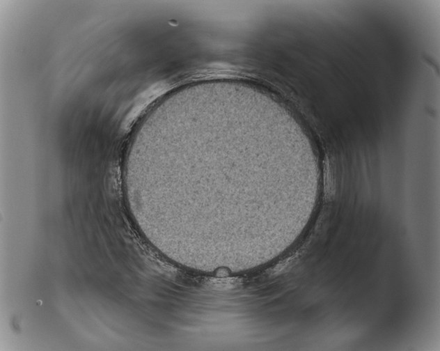 X0000103471453200810241002