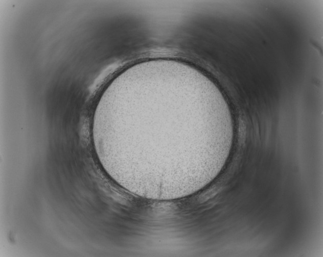 X0000103471454200810241002