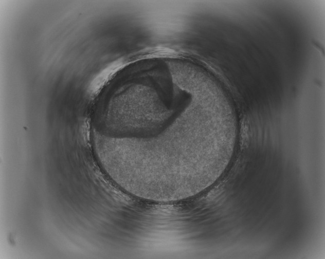 X0000103471455200810241002