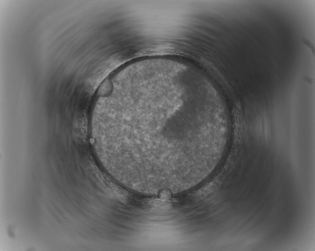 X0000103471457200810241002