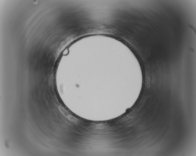 X0000103471460200810241002