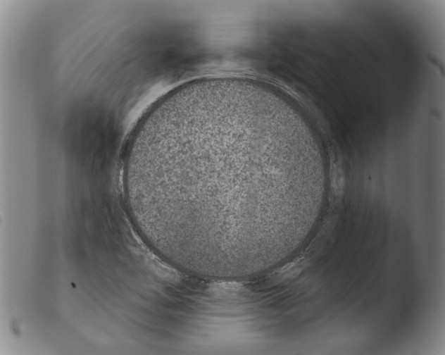 X0000103471462200810241002