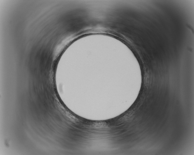 X0000103471464200810241002