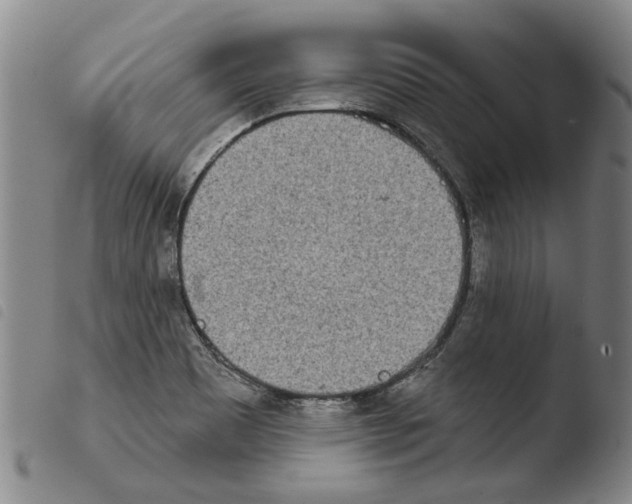 X0000103471465200810241002