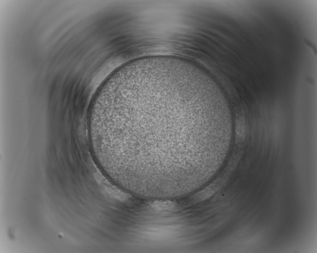 X0000103471466200810241002