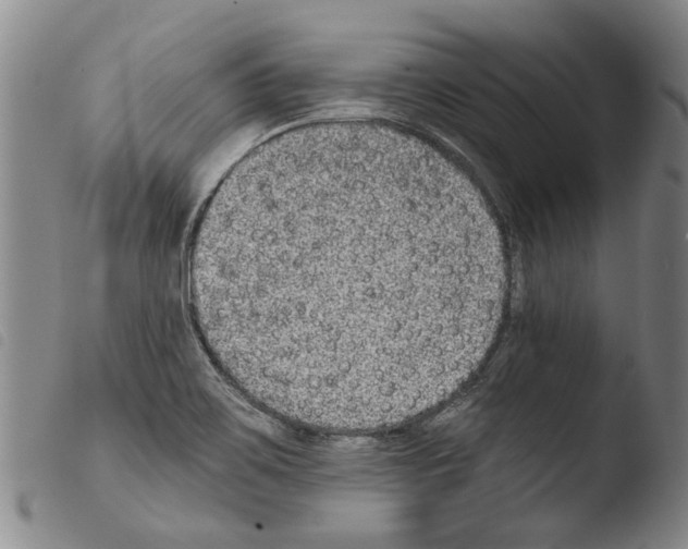 X0000103471467200810241002
