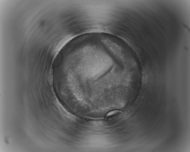 X0000103471468200810241002