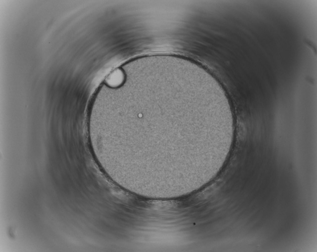 X0000103471469200810241002