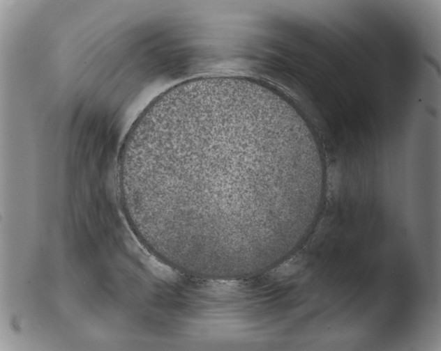 X0000103471470200810241002