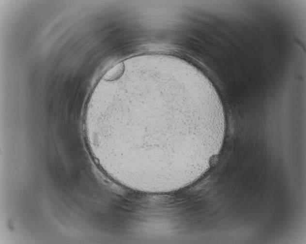X0000103471471200810241002