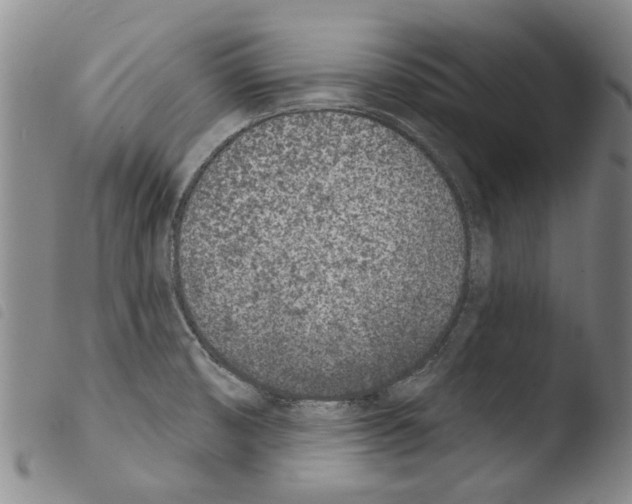 X0000103471474200810241002