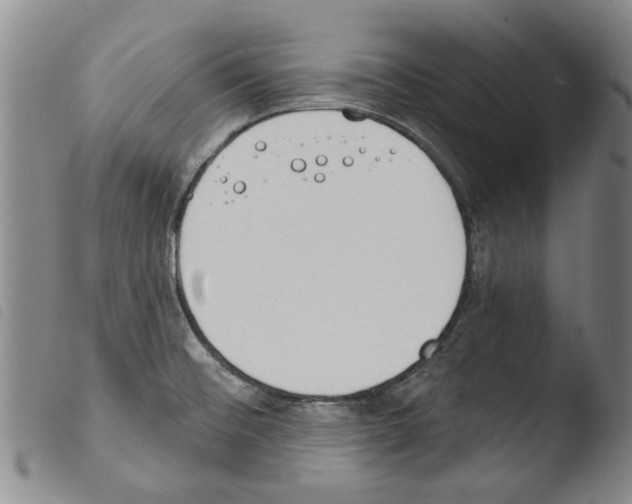 X0000103471476200810241002