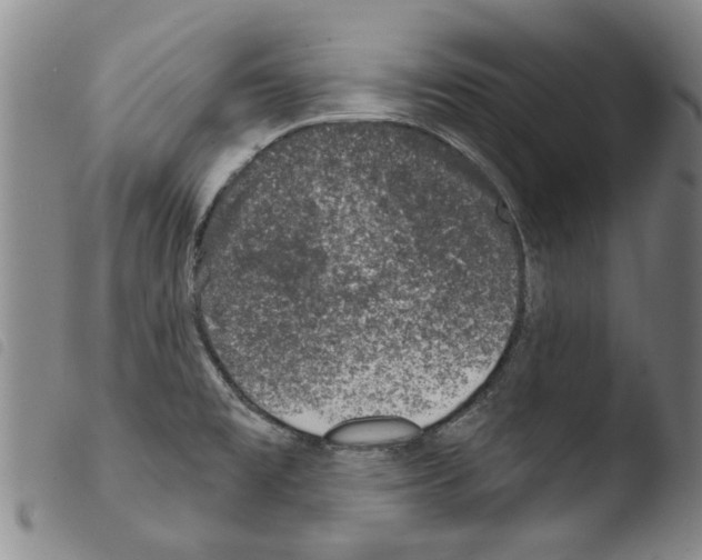 X0000103471477200810241002