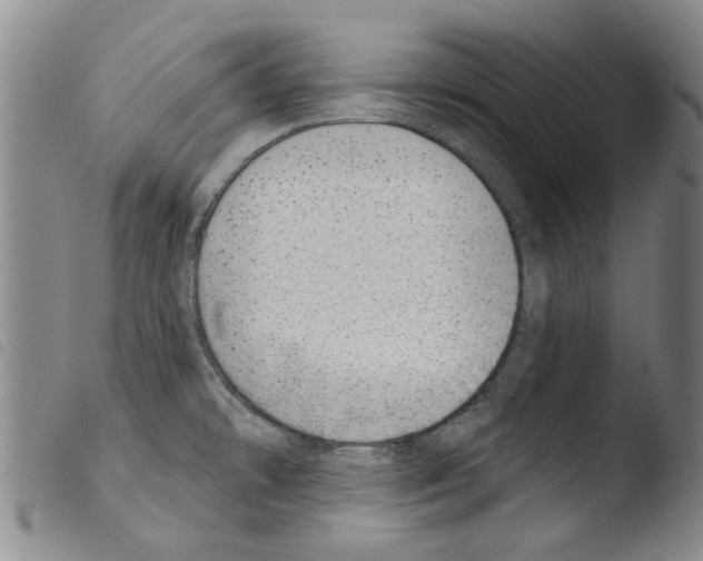 X0000103471478200810241002