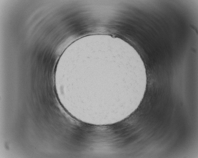 X0000103471479200810241002