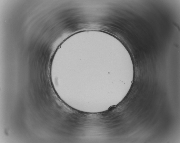 X0000103471480200810241001