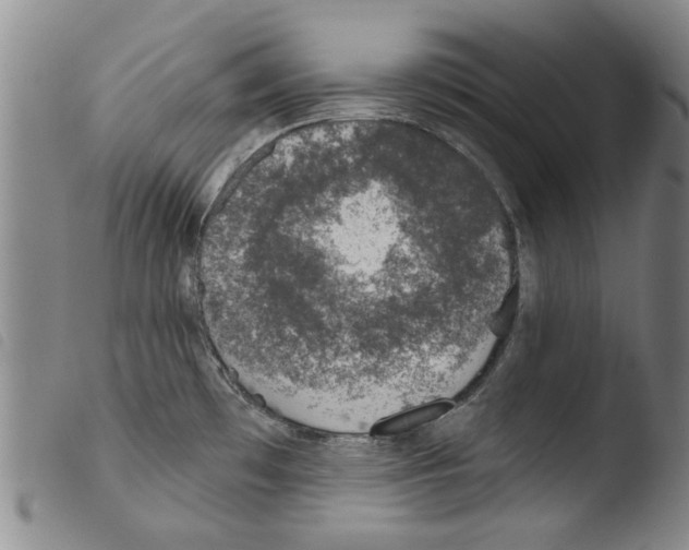 X0000103471481200810241001