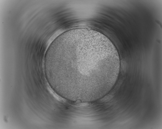 X0000103471482200810241001