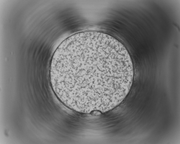 X0000103471483200810241001