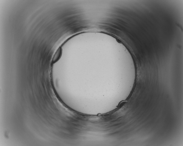 X0000103471484200810241001