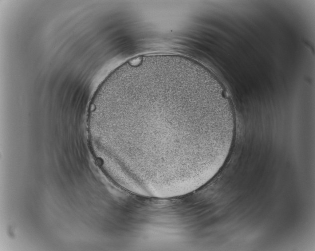 X0000103471485200810241001