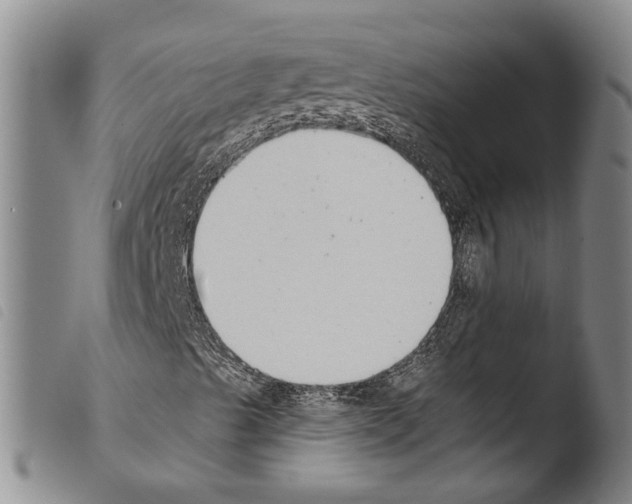 X0000103471489200810241000