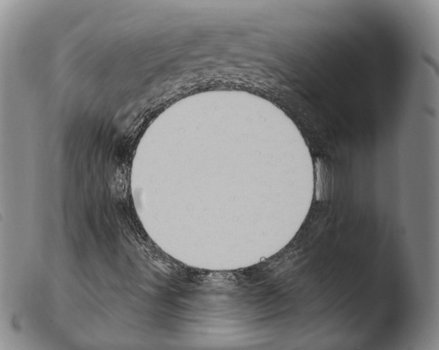 X0000103471491200810241000