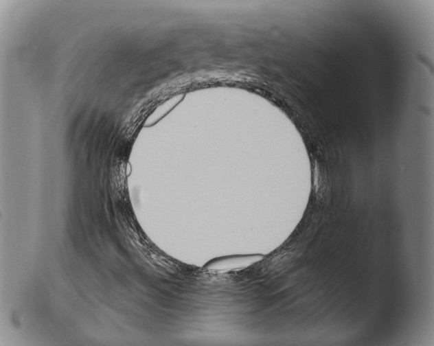 X0000103471492200810241000