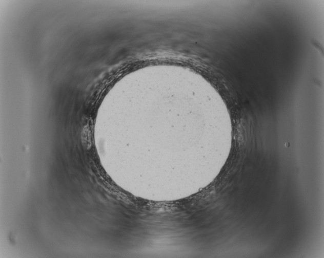 X0000103471493200810241000