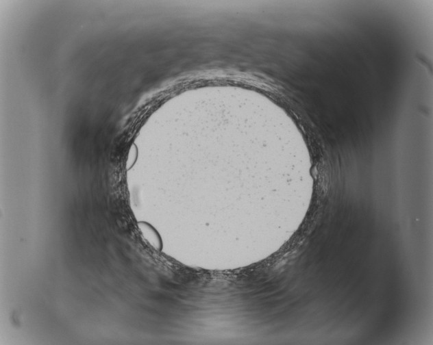 X0000103471494200810241000