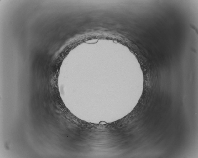 X0000103471495200810241000