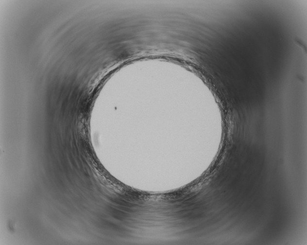 X0000103471497200810241000