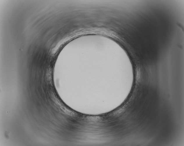 X0000103471498200810241001