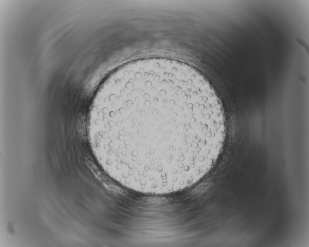 X0000103471499200810241001