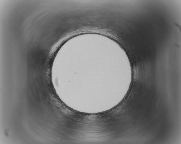 X0000103471502200810241001