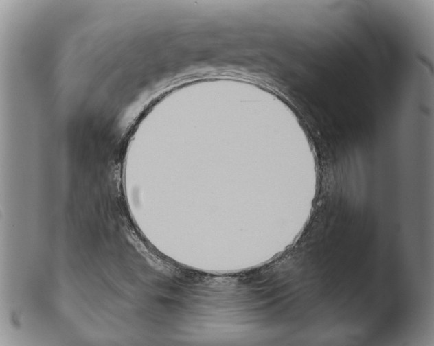 X0000103471503200810241001