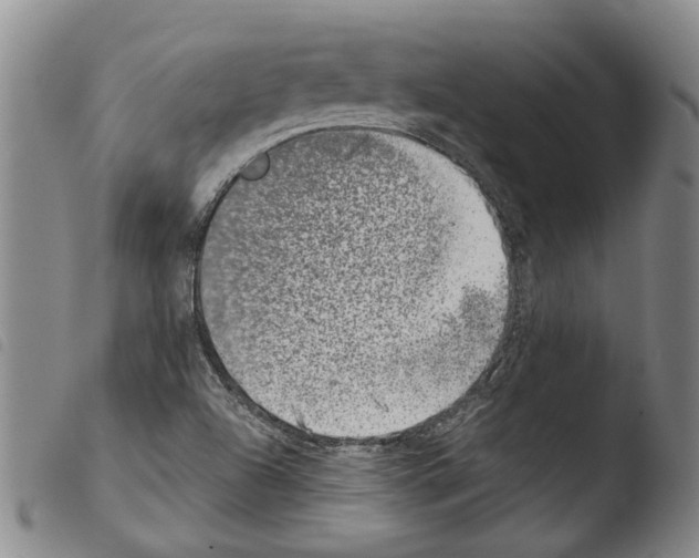 X0000103471504200810241001