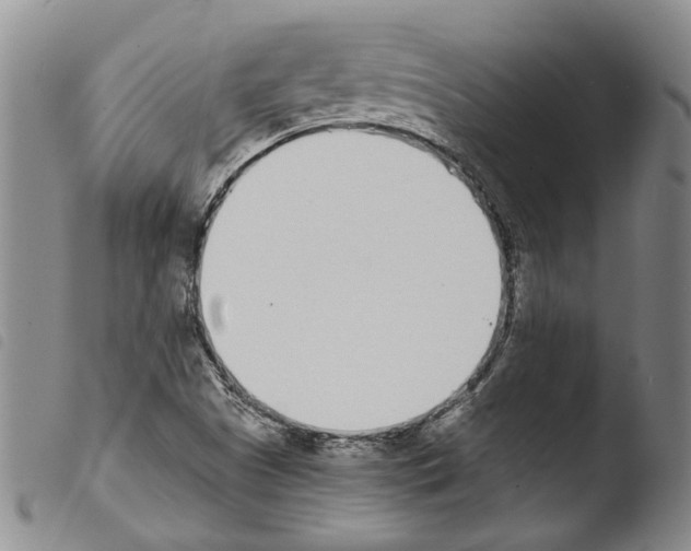X0000103471505200810241001