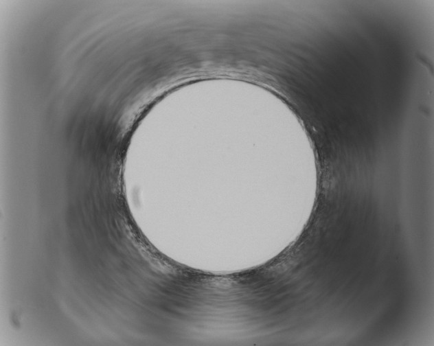 X0000103471507200810241001