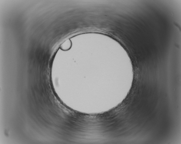 X0000103471508200810241001