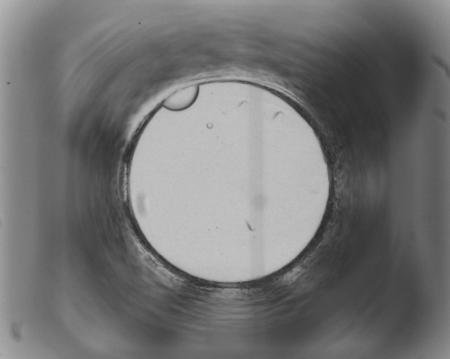 X0000103471510200810241001