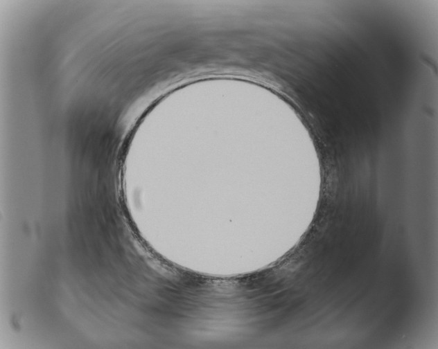 X0000103471511200810241001