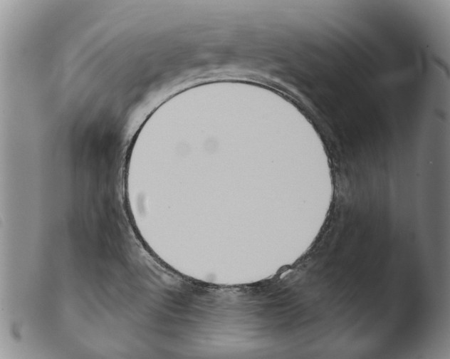 X0000103471512200810241001