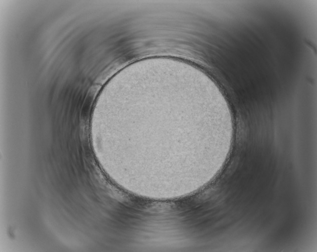 X0000103471513200810241001