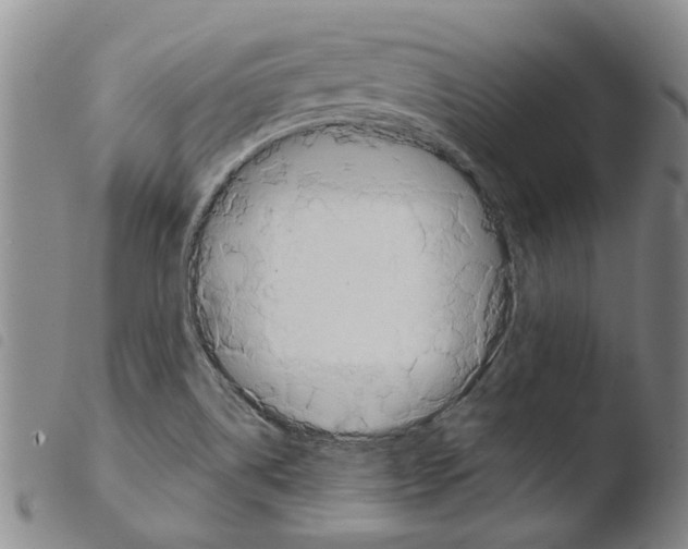 X0000103471514200810241001